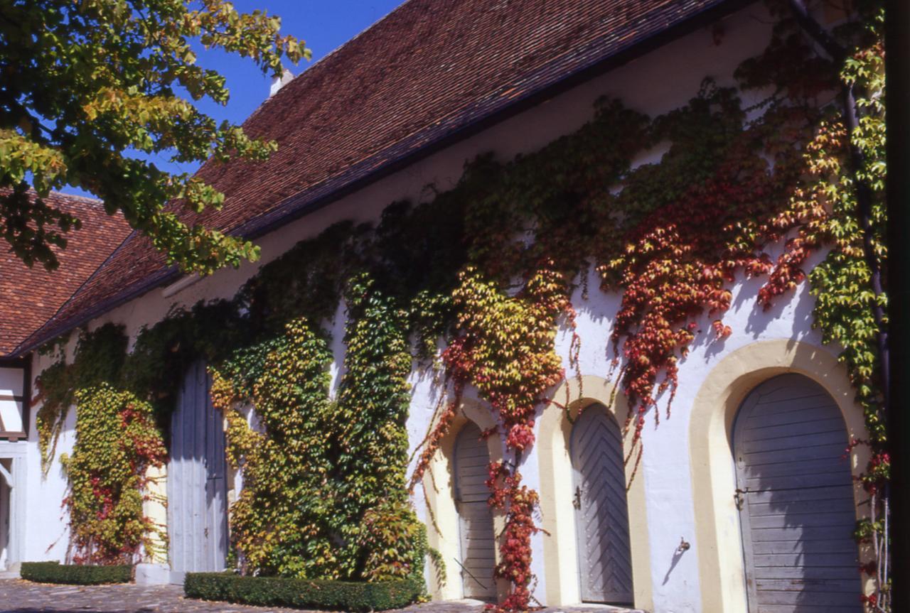 Markgräflich Badischer Gasthof Schwanen Salem  Exterior foto